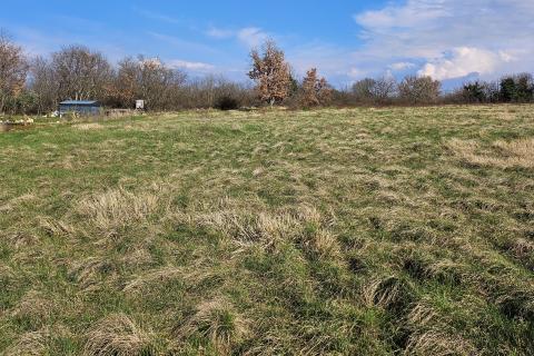 Istra, Umag, negrađevinsko zemljište