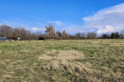 Istra, Umag, negrađevinsko zemljište