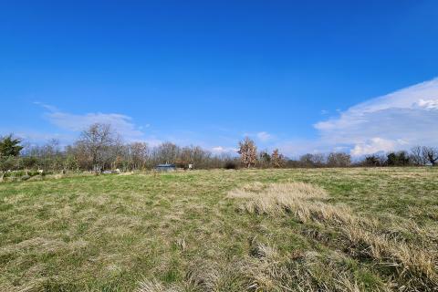 Istra, Umag, negrađevinsko zemljište