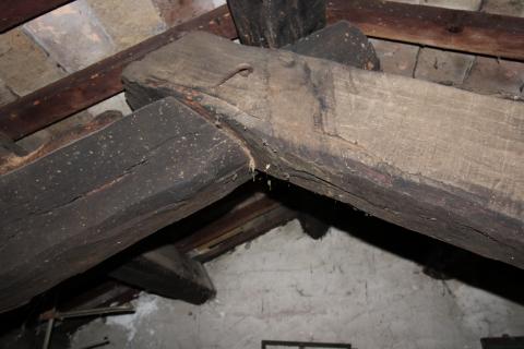 Haus Perini, Sveti Lovreč, 285m2