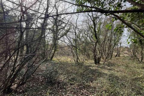 Terreno edificabile Tinjan, 2.183m2