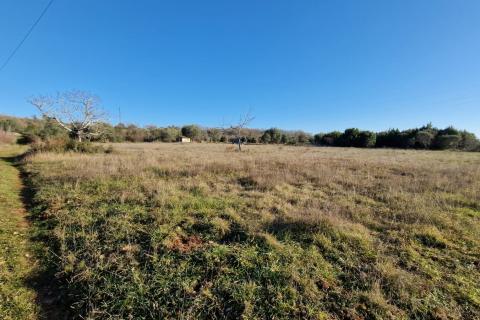 Nicht-strukturelle Land Rovinjsko Selo, Rovinj, 7.249m2