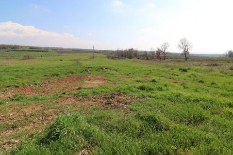 TAR, okolica- poljoprivredno zemljište