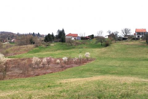 Земельный участок нестроительного назначения Gornji Dragonožec, Brezovica, 1.964m2