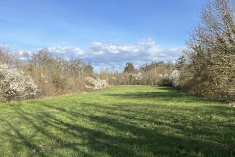 Pazin - okolica, građevinsko zemljište u uređenom naselju