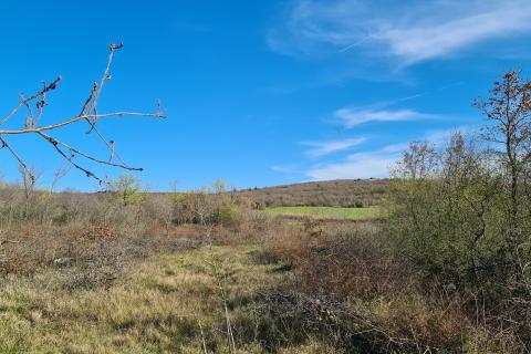 Nicht-strukturelle Land Sveti Lovreč, 11.628m2