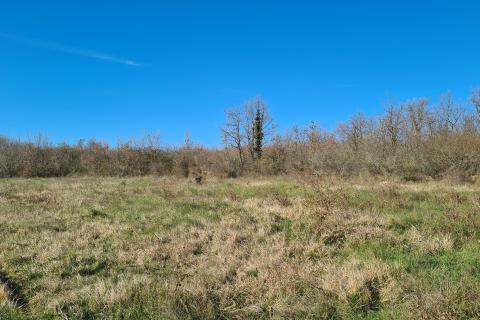 Nicht-strukturelle Land Sveti Lovreč, 11.628m2