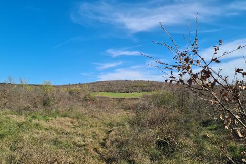 Nicht-strukturelle Land Sveti Lovreč, 11.628m2
