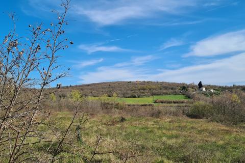 Nicht-strukturelle Land Sveti Lovreč, 11.628m2