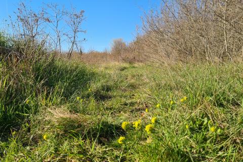 Nicht-strukturelle Land Sveti Lovreč, 11.628m2