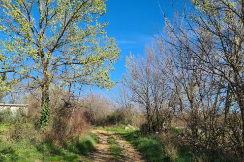 Nicht-strukturelle Land Sveti Lovreč, 11.628m2
