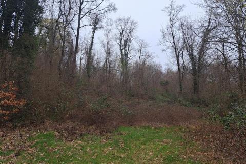 Bauland Veprinac, Opatija - Okolica, 2.539m2