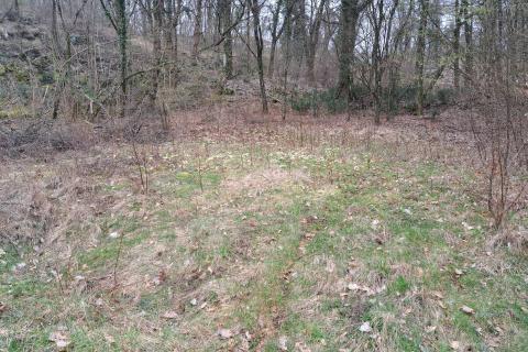 Bauland Veprinac, Opatija - Okolica, 2.539m2