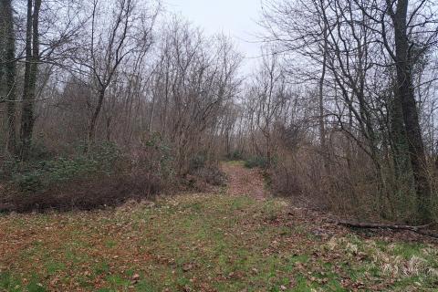 Bauland Veprinac, Opatija - Okolica, 2.539m2