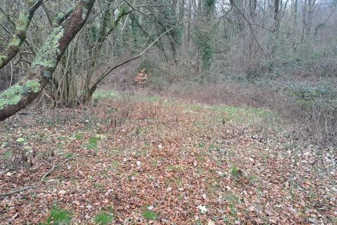 Bauland Veprinac, Opatija - Okolica, 2.539m2