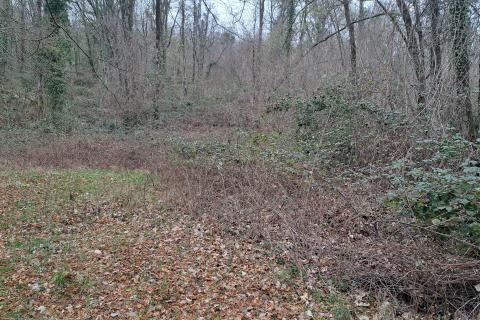 Bauland Veprinac, Opatija - Okolica, 2.539m2