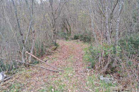 Bauland Veprinac, Opatija - Okolica, 2.539m2