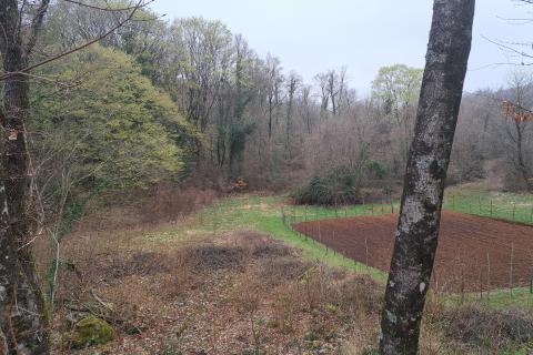 Bauland Veprinac, Opatija - Okolica, 2.539m2