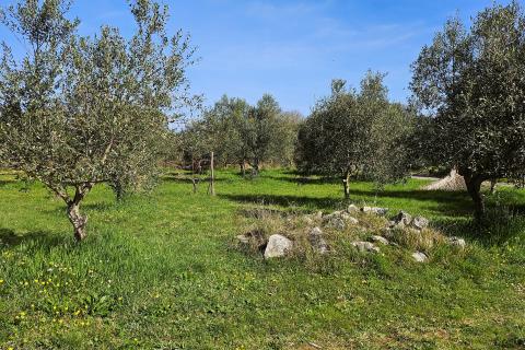 Niet bouwgrond Umag, 4.187m2