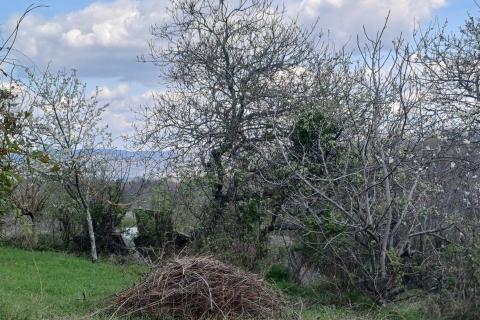 Дом Kućibreg, Buje, 120m2