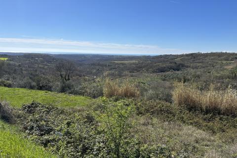 Bauland Krasica, Buje, 754m2