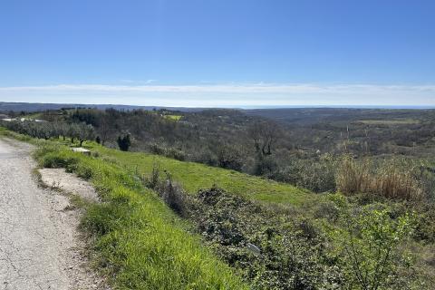 Bauland Krasica, Buje, 754m2