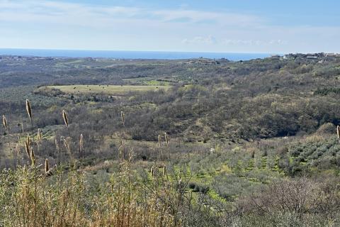 Bauland Krasica, Buje, 754m2