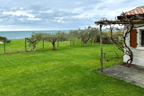 Istra, Umag, građevinsko zemljište samo 50 m od plaže