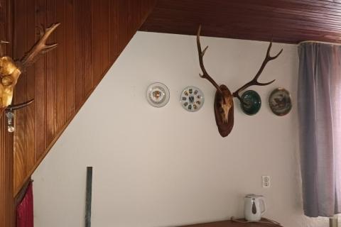 House Planina Skradska, Skrad, 170m2