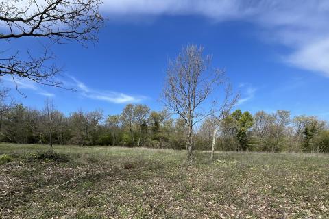 Istra, Sveti Lovreč, građevinsko zemljište 691 m2