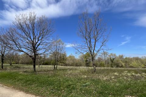 Stavbno zemljišče Sveti Lovreč, 602m2