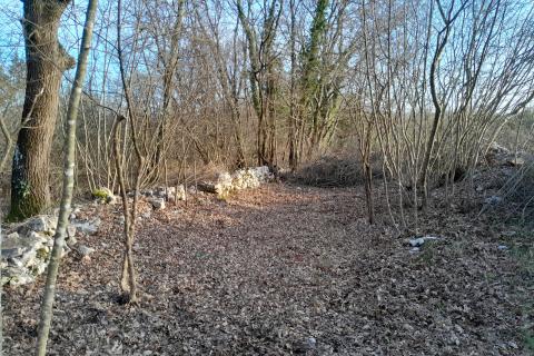 Istra,Orbanići,šuma i pašnjaci