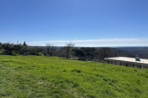 Bauland Krasica, Buje, 1.004m2