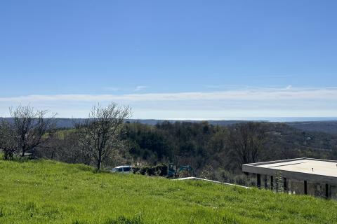 Bauland Krasica, Buje, 1.004m2