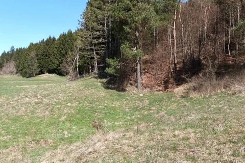 Bauland Sunger, Mrkopalj, 4.571m2