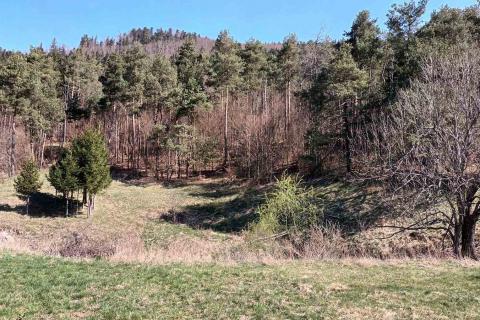 Bauland Sunger, Mrkopalj, 4.571m2