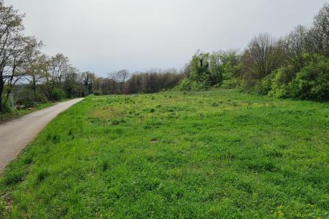 Istra, Žminj okolica - građevinsko-poljoprivredno zemlji&scaron;te 5.769 m2