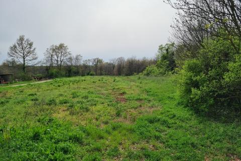 Istra, Žminj okolica - građevinsko-poljoprivredno zemlji&scaron;te 5.769 m2