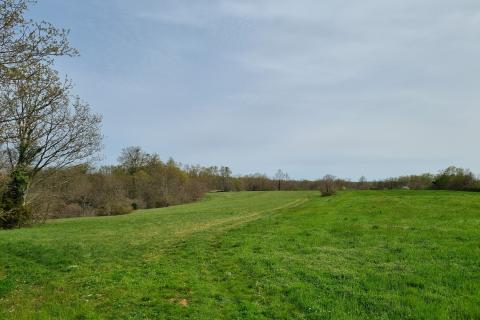 Stavbno zemljišče Žminj, 2.204m2