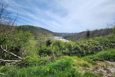 Istra, Podberam - građevinski teren, cjena nije fiksna