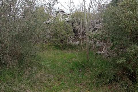 Niet bouwgrond Vodnjan, 5.463m2