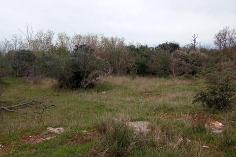 Niet bouwgrond Vodnjan, 5.463m2