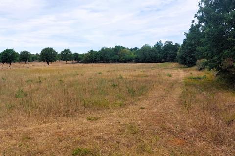 Niet bouwgrond Dračevac, Poreč, 4.815m2