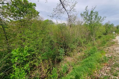 Bauland Veprinac, Opatija - Okolica, 2.275m2