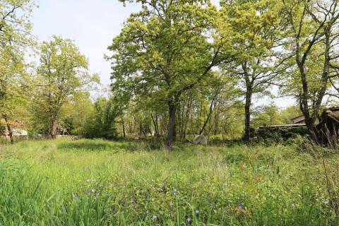 POREČ,okolica- građevinsko zemljište