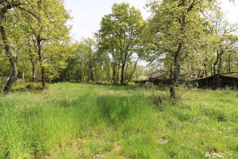 POREČ,okolica- građevinsko zemljište