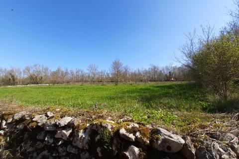 Stavbno zemljišče Sveti Petar u Šumi, Sveti Petar U Šumi, 2.500m2