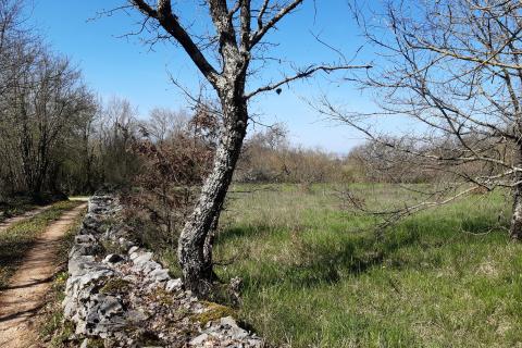 Stavbno zemljišče Sveti Petar u Šumi, Sveti Petar U Šumi, 2.500m2
