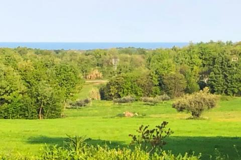 Istra, Novigrad - građevinsko zemljište s pogledom na more