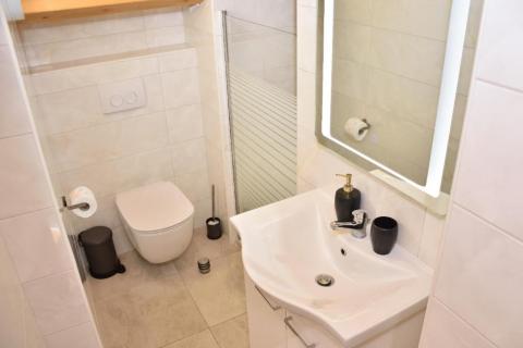 Rovinj – Haus mit 2 Wohnungen und Geschäftsräumen in der Straße Grisia.